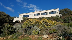 A modern two-story house with a flat roof, large windows, and a garden with yellow flowers and shrubs. - Apartment in the maquis facing the sea, 5mm from the beach and shops (Cargèse)