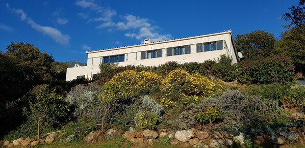 Une maison moderne à deux étages, dotée d’un toit plat, de grandes fenêtres et d’un jardin agrémenté de fleurs et d’arbustes jaunes.