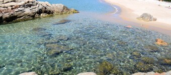 Apartment in the maquis facing the sea, 5mm from the beach and shops