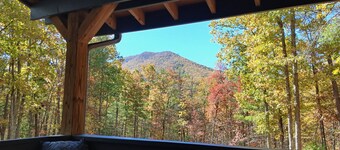  Secluded ridge 
 top wilderness retreat with fast wifi and all the comforts 