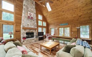Smart TV, fireplace, books