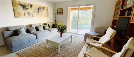 电视、DVD 播放器、书