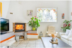 Smart TV, fireplace, DVD player, books