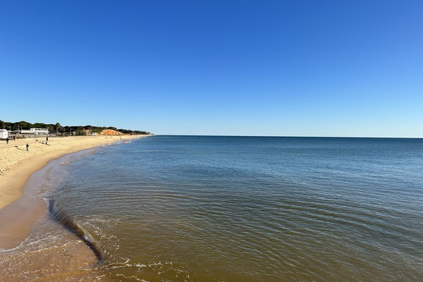 Una playa cerca