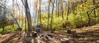 Private bungalow set in the forest