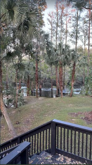 Property grounds - Beautiful & Secluded Brand New Romantic Riverfront Oasis (Valrico)