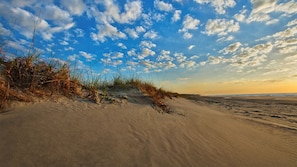 Sun loungers, beach towels - OceanVista (Hilton Head Island)