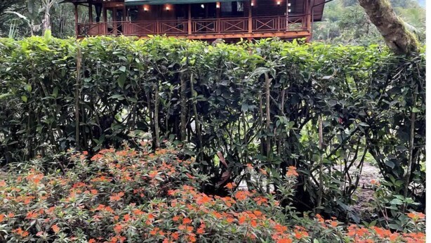 Une cabane en bois avec un toit vert, entourée d’un feuillage dense et de fleurs orange éclatantes.