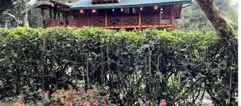 Picturesque cabin in the clouds