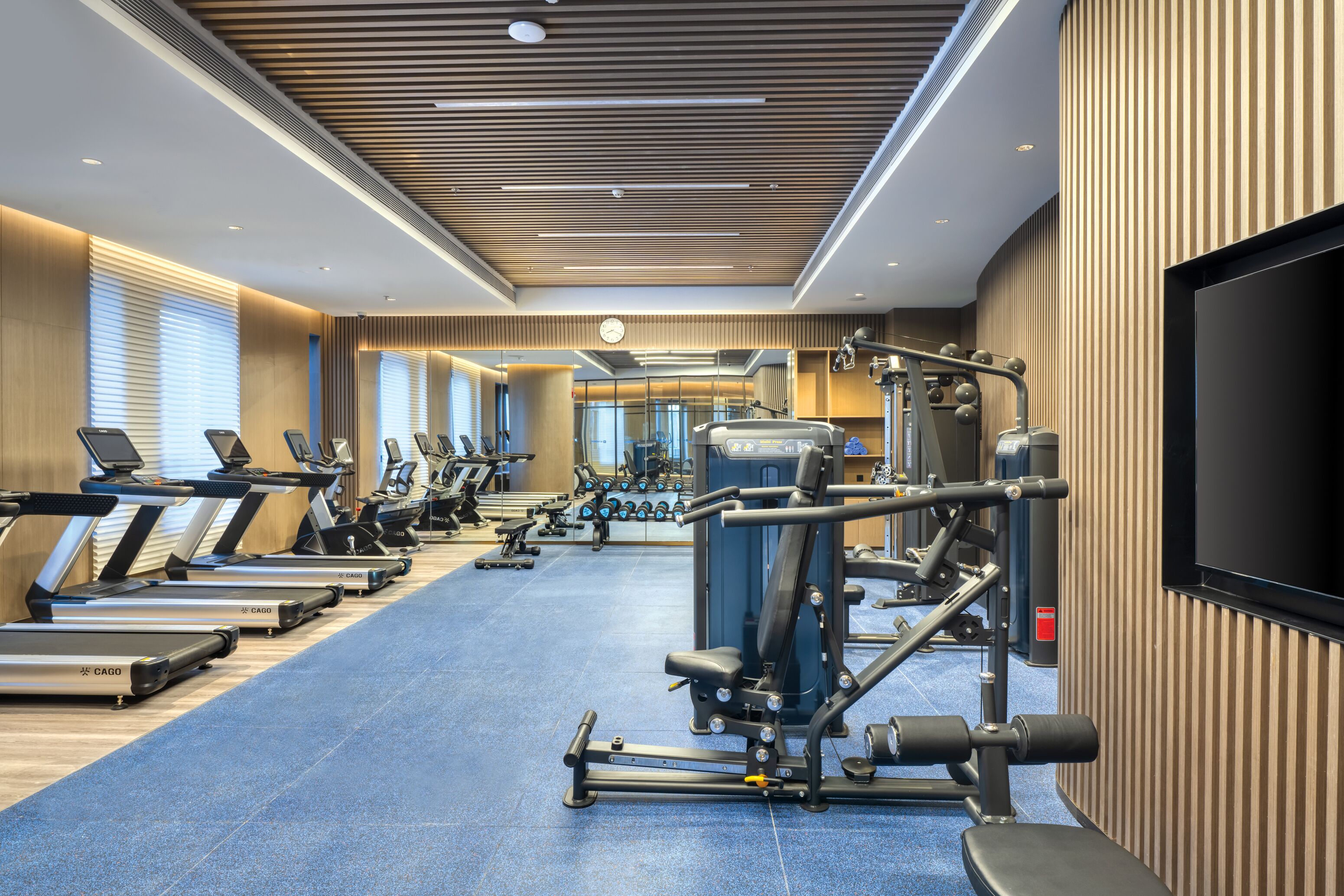 Un gimnasio con cintas de correr, máquinas de pesas y una pantalla de televisión.