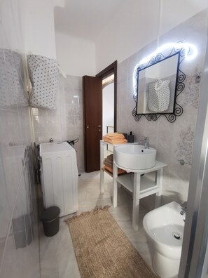 Shower, hair dryer, bidet, towels