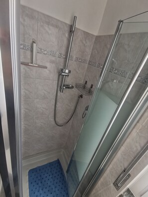 Shower, hair dryer, bidet, towels
