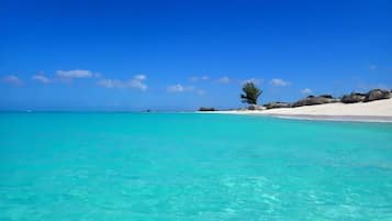 Chaises longues, serviettes de plage