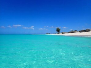 A beach with clear turquoise water, a sandy shore, and a single tree. - Breezy, eco-friendly, with pool and lagoon view (Caicos Islands)