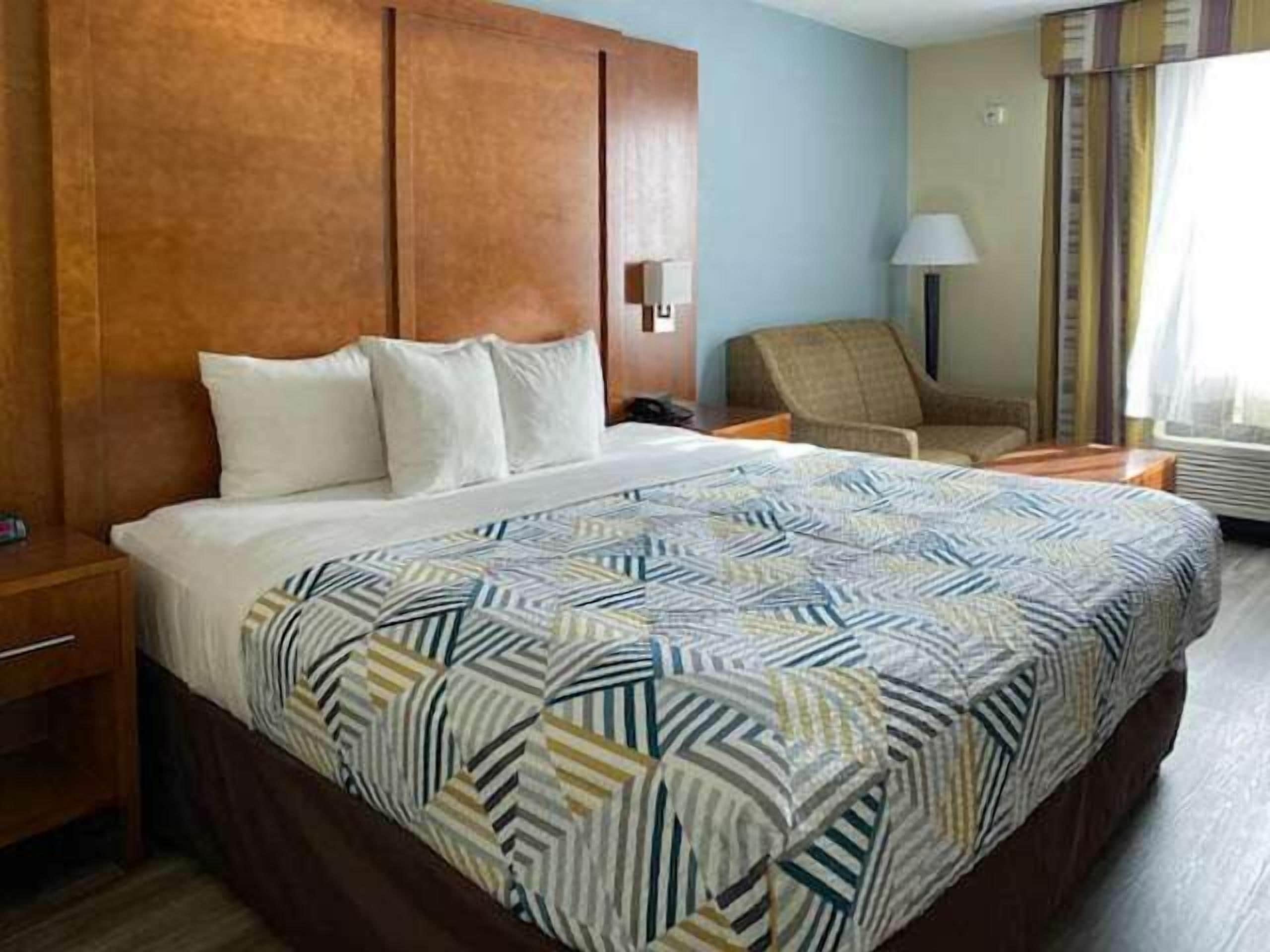 Deluxe Room, 1 King Bed, Non Smoking, Refrigerator & Microwave