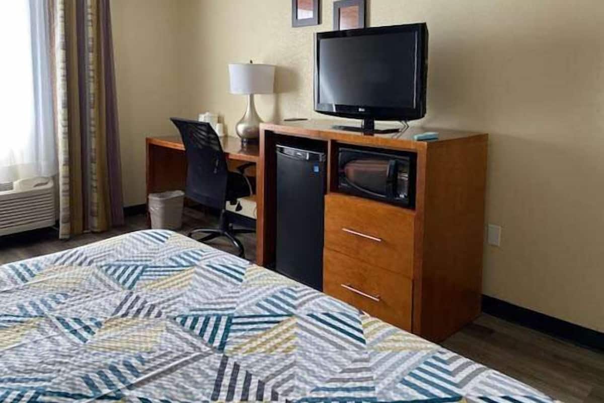 Chambre Deluxe, 1 très grand lit, non-fumeur, réfrigérateur et four à micro-ondes