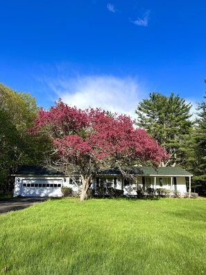 Exterior - Cozy Creek Side Mountain Home (Round Top)