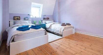 Excusive old building DG 80m² center within walking distance, 2 bedrooms, fireplace, XXL sofa