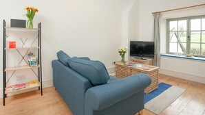 A living room with a blue sofa, a TV on a wooden stand, a bookshelf, and a window with a view.