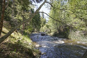 A natural stream surrounded by dense forest. - The Cabin Viola (Shingletown)