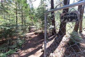 A forested trail with a chain-link fence and a sign indicating 'Bailey Creek'. - The Cabin Viola (Shingletown)