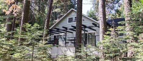 Udendørsområde