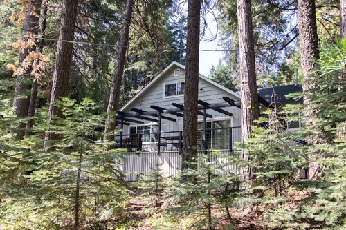 The Cabin Viola