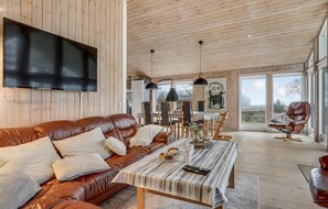 تلفزيون، مدفأة