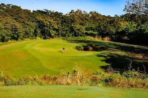 Camp de golf amb un sol golfista al verd, envoltat d'arbres densos.