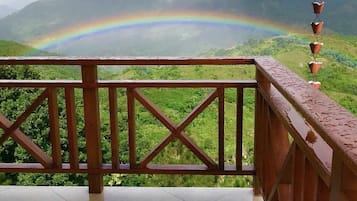 Habitación ejecutiva | Terraza o patio