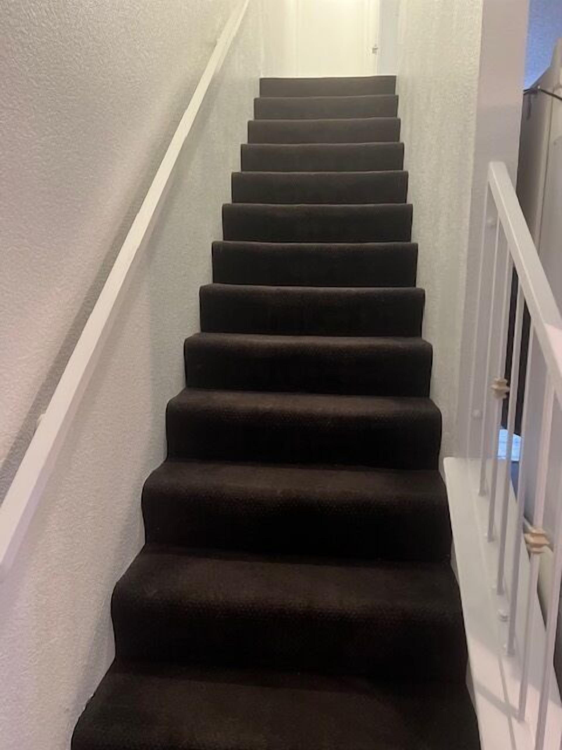 Un escalier avec une rampe et des marches recouvertes de moquette.