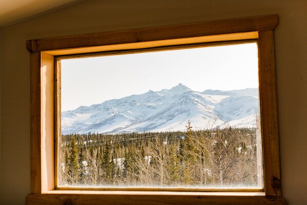 Interior - Authentic Alaskan cabin experience near the heart of Denali (Healy)