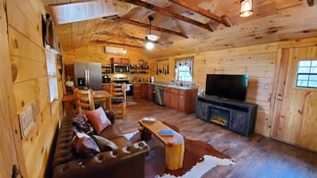 Smart TV, chimenea, reproductor de DVD y libros
