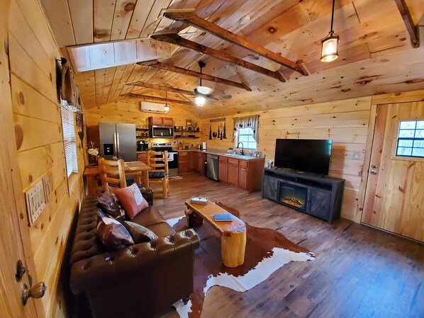 Smart TV, fireplace, DVD player, books