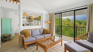 TV, video library, stereo