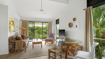 TV, video library, stereo