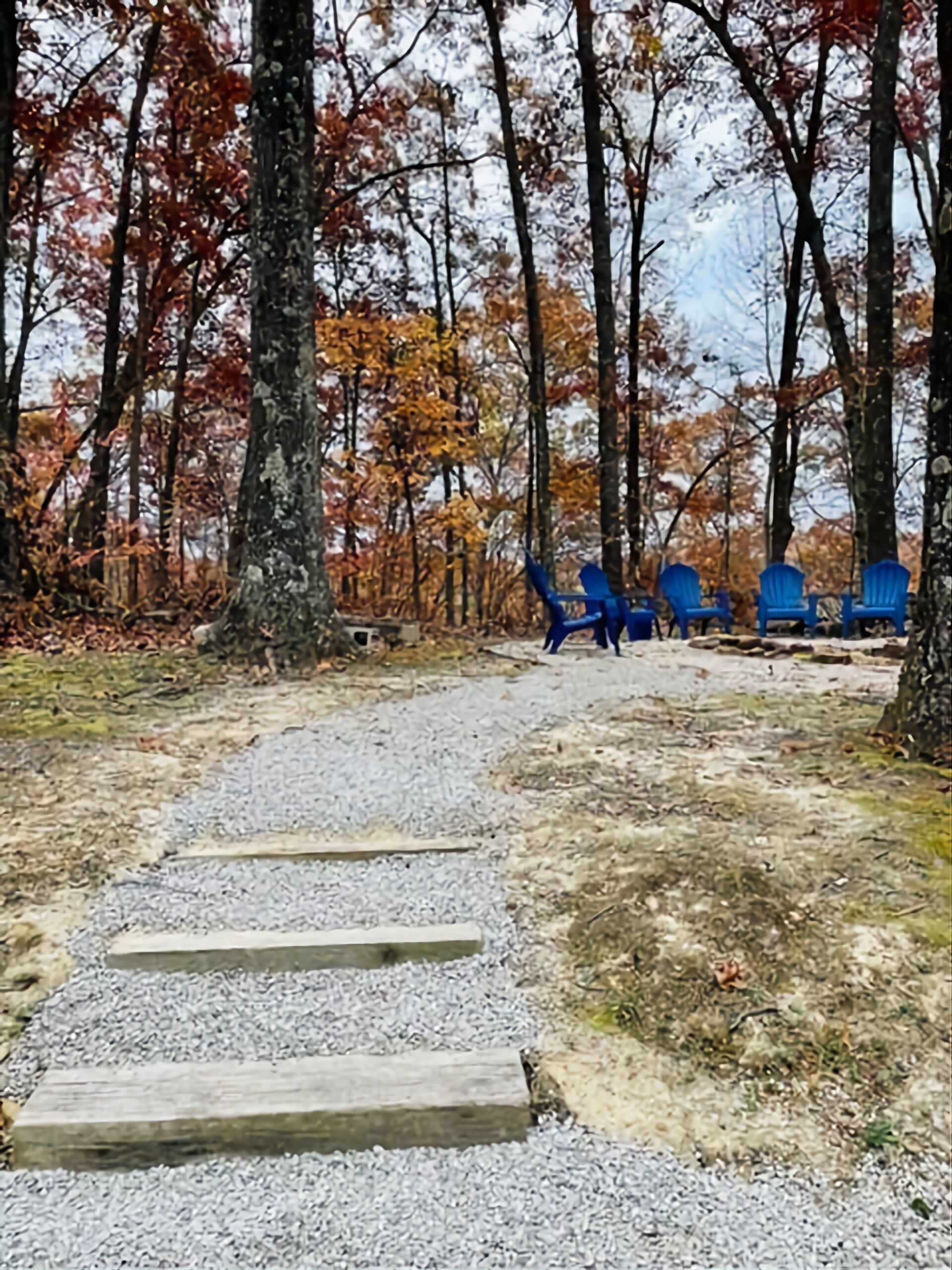 Ein bewaldetes Gebiet mit einem Kiesweg, der zu blauen Stühlen führt.