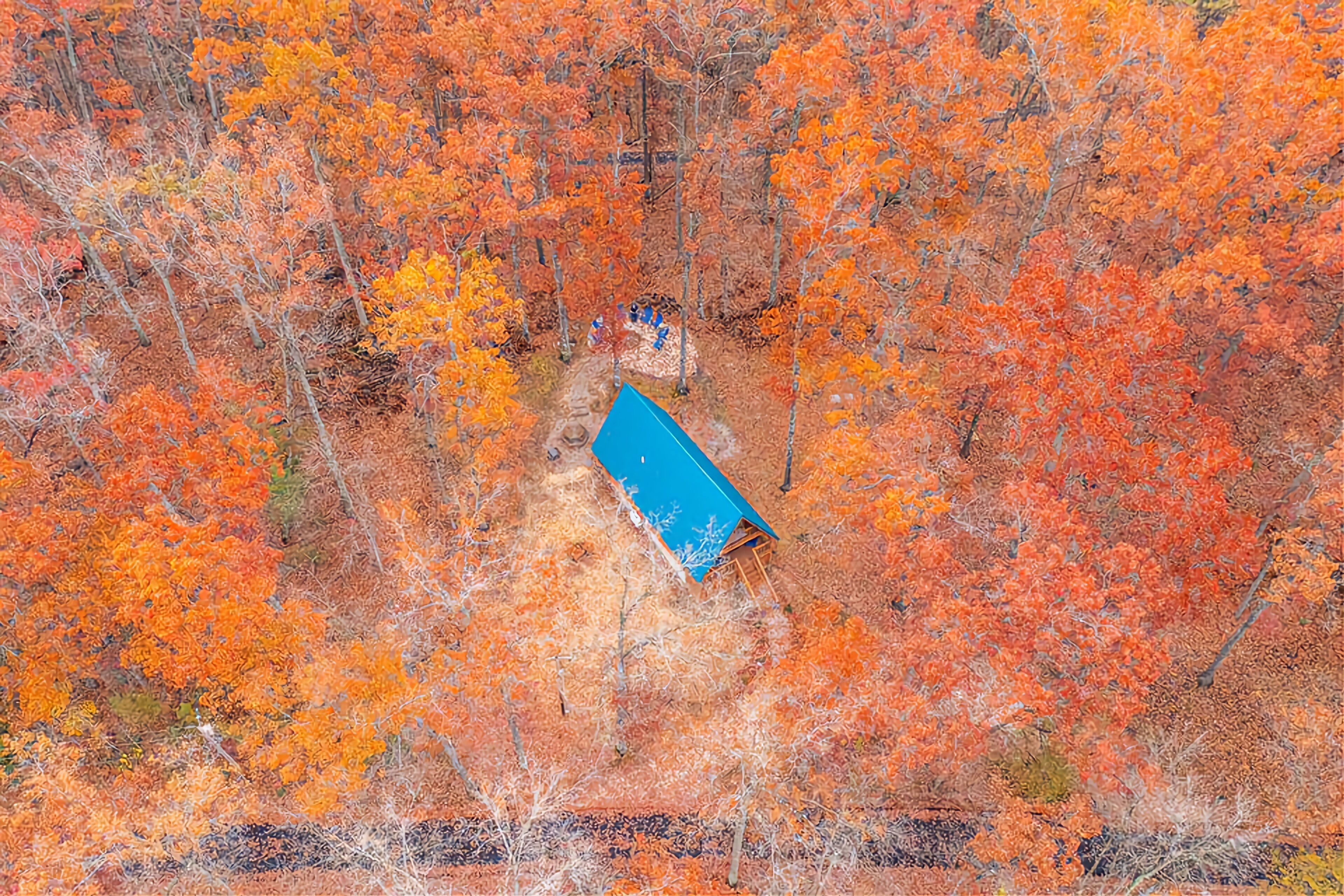 Vue aérienne d’une forêt avec une structure au toit bleu, entourée d’un feuillage automnal.