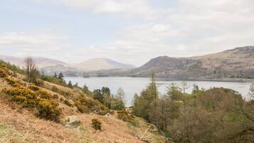 Cottage | Miscellaneous