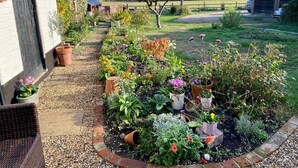 A garden with a variety of plants and flowers, a gravel path, and a wooden fence.