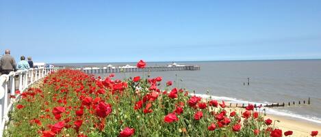 Cottage, Multiple Beds | Beach