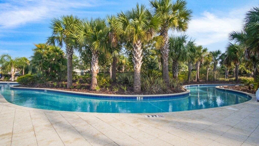A swimming pool surrounded by palm trees and a tiled deck.