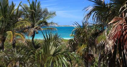 Oasis House 3 Bedroom Home