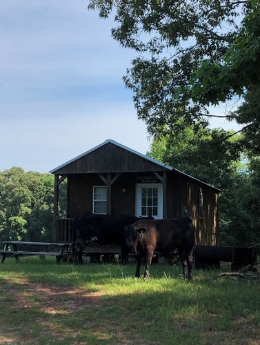 Holland Hill Cabin on a Pond