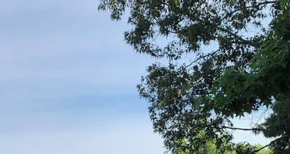 Holland Hill Cabin on a Pond