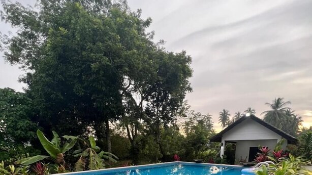 A swimming pool surrounded by lush greenery and a small structure. - Captain's Cabin Resort  (Kota Bharu)