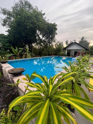 A swimming pool surrounded by lush greenery and a small structure.