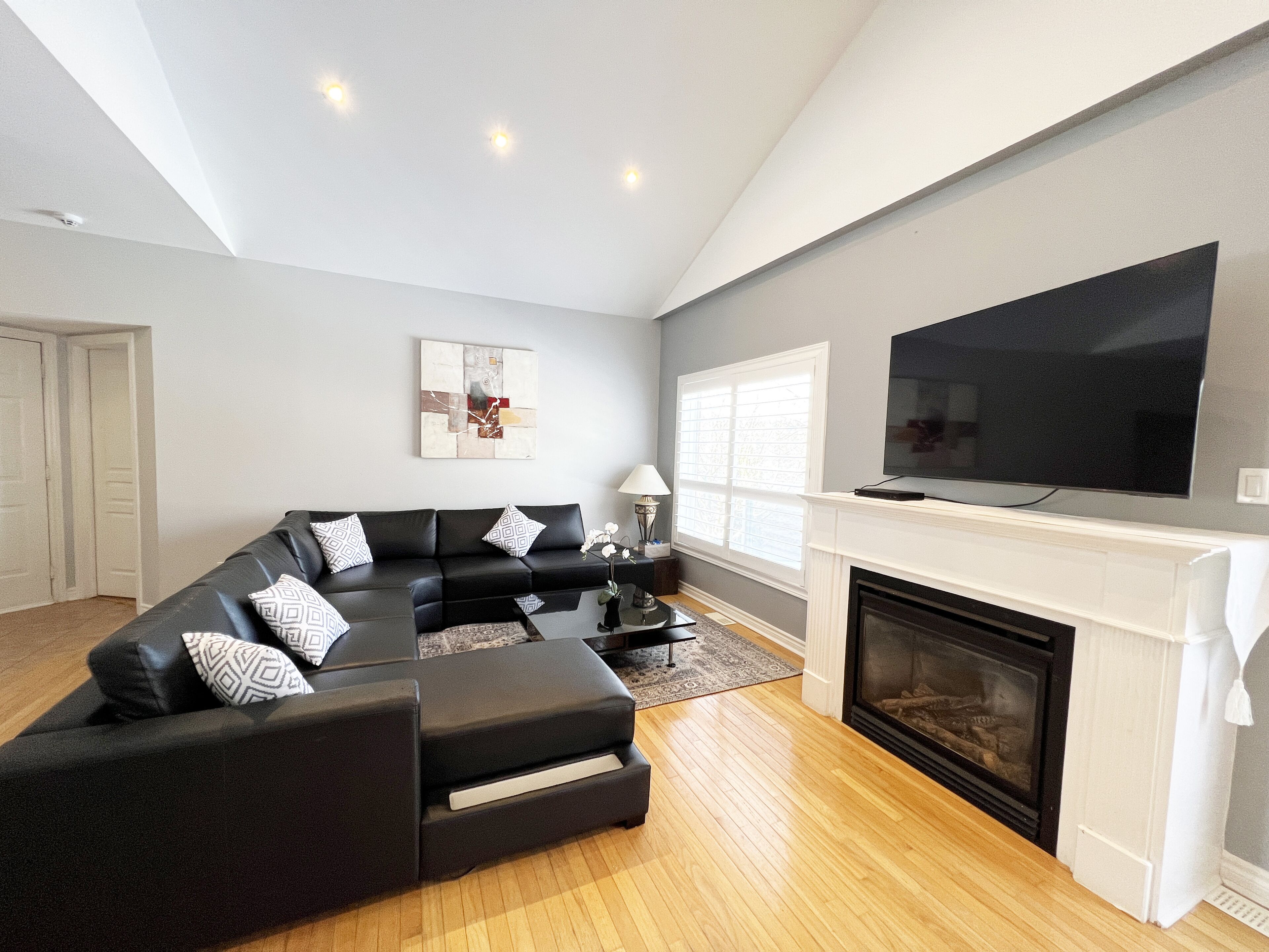 Smart TV, chimenea, reproductor de DVD