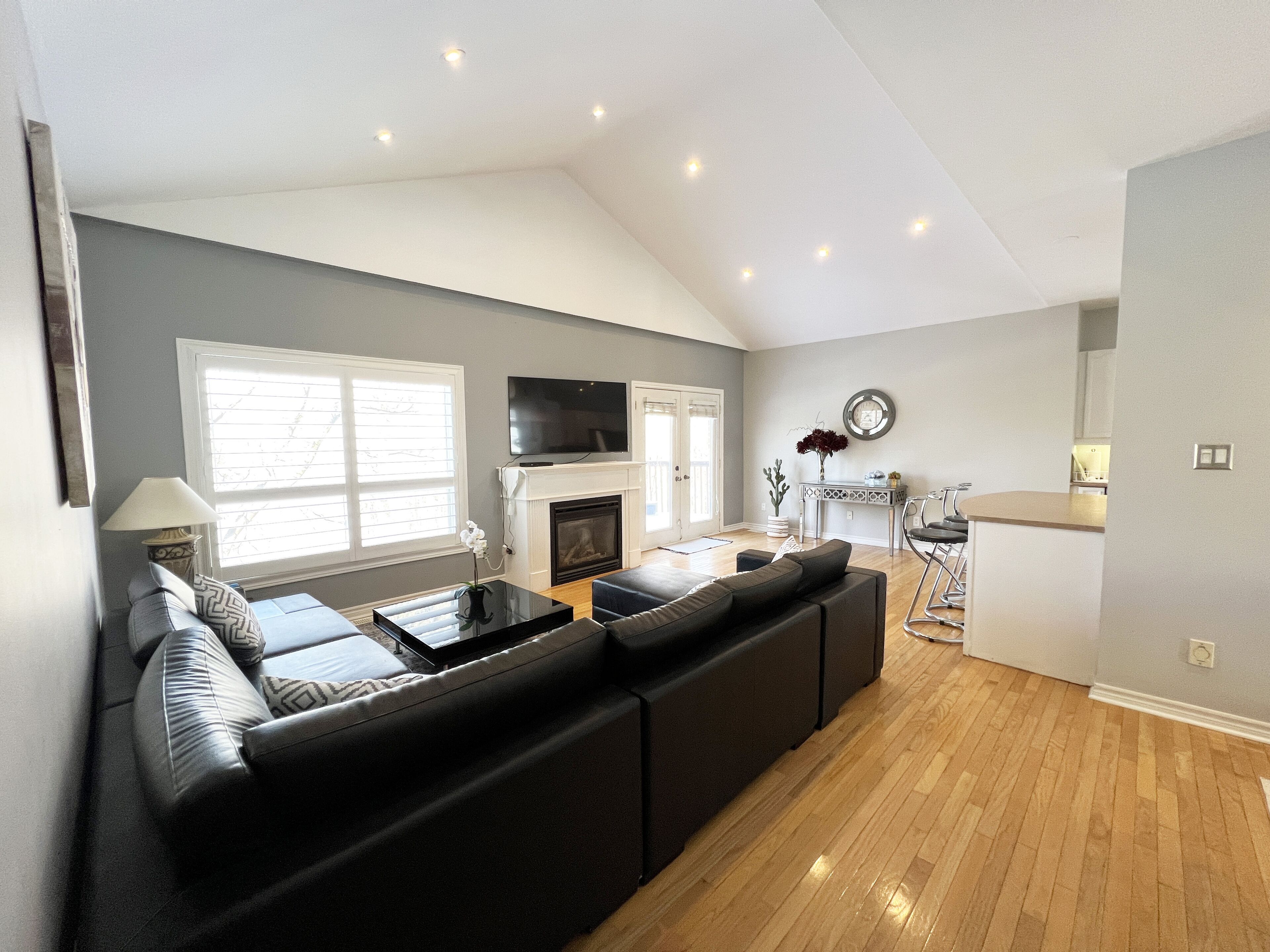 Smart TV, chimenea y reproductor de DVD 