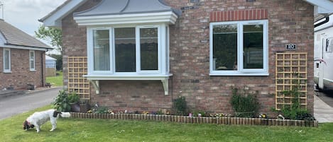 A brick house with a bay window, a small garden with flowers, and a dog on the lawn.
